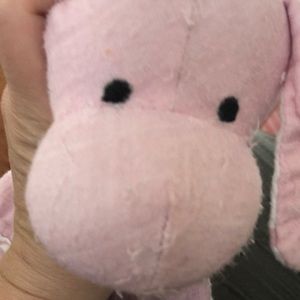 Meet your Posher, Rikki